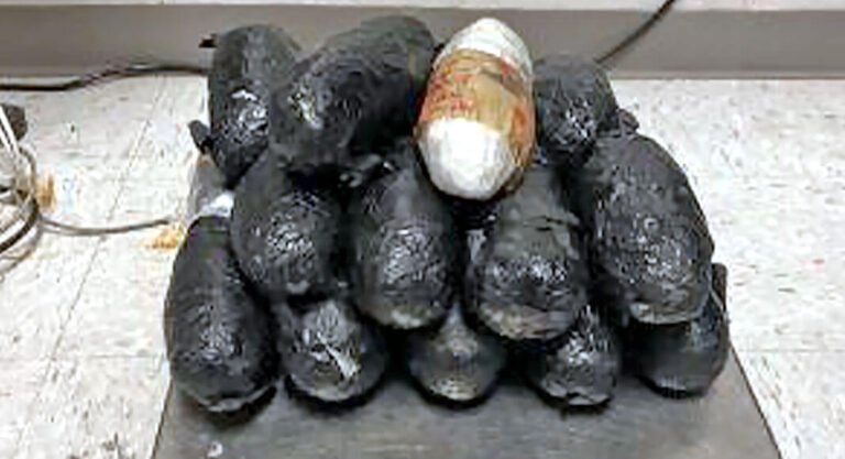 Eagle Pass Officers Seize over $400,000 in Meth