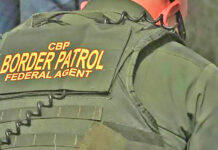 Four Smuggling Attempts Foiled by RGV Border Patrol