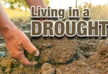 Drought and Your Health