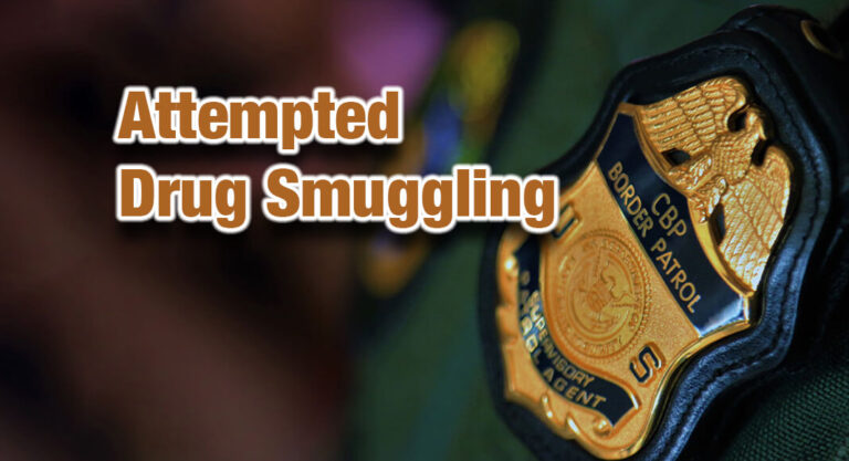 RGV Agents Seize Over $164K in Marijuana