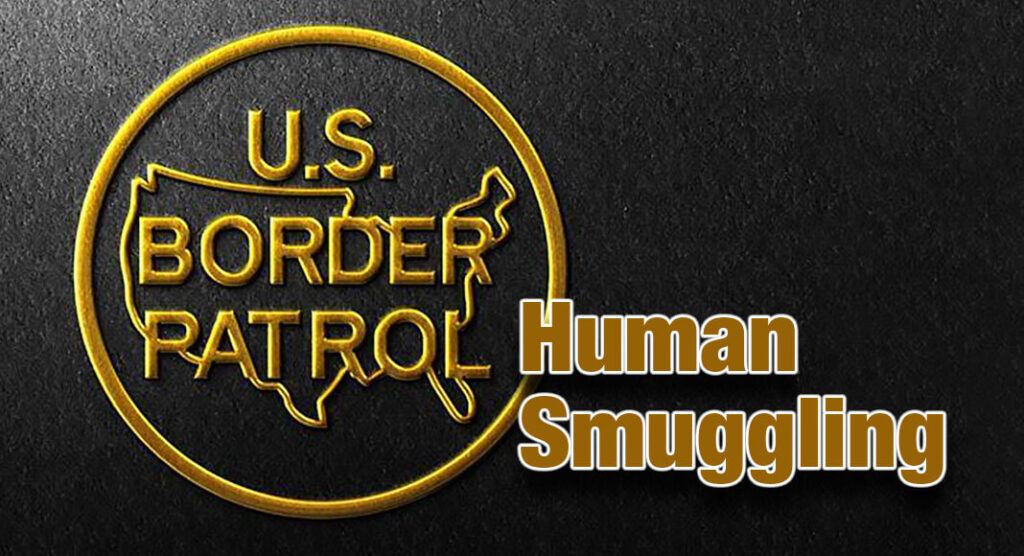 Three Smuggling Attempts Foiled by RGV Agents - Texas Border Business