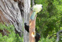 Explore Hidalgo County