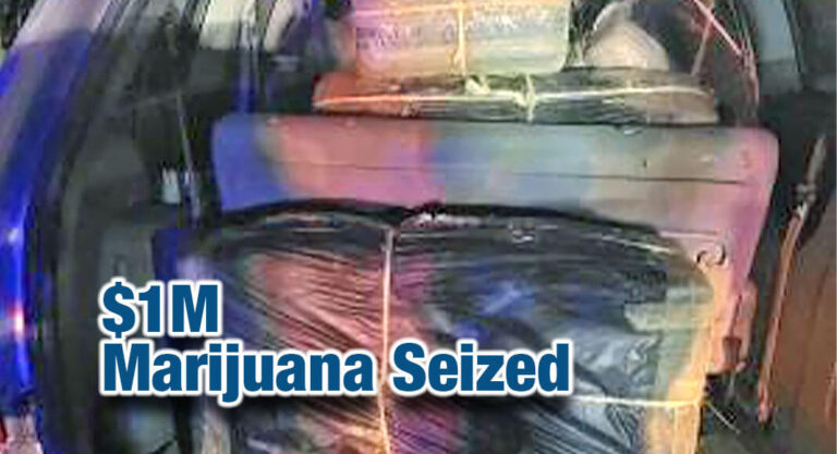 RGV Agents Seize More Than $1M in Marijuana 