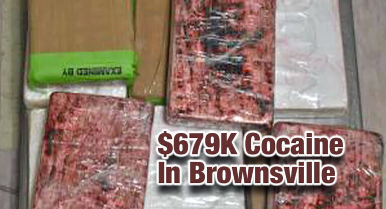 $679K Worth of Cocaine Seized in Brownsville 