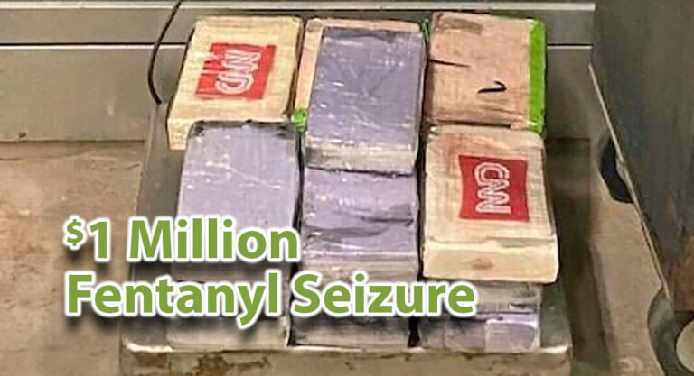Officers Seize over $1M in Fentanyl at Pharr International Bridge