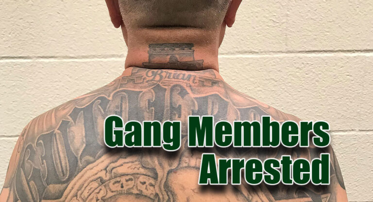 Agents Apprehend 6 Gang Members, 3 Sex Offenders 