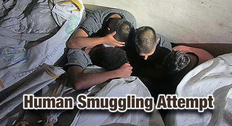 22 Migrants Discovered Abandoned in Utility Trailer 