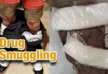 Juvenile Drug Smuggler Stopped by CBP Officers