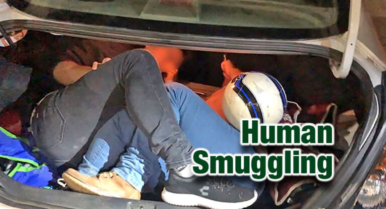 Laredo Agents Halt Several Smuggling Attempts