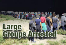 Agents Encountered Large Groups and Seized Marijuana