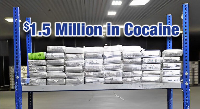 CBP Officers Seize $1.5M Cocaine at World Trade Bridge