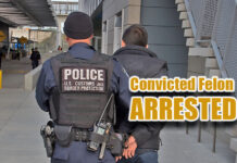 Laredo Agents Arrest Convicted Felon
