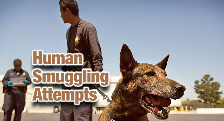 Two Human Smuggling Attempts At I-35 Checkpoint Stopped