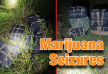RGV Marijuana Seizures