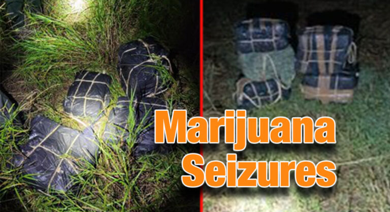 RGV Marijuana Seizures