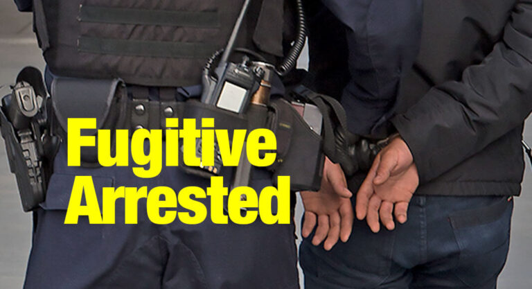 CBP Officers Apprehend Fugitive Wanted for Aggravated Sexual Assault of a Child
