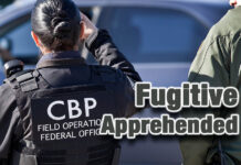 Officers Apprehend Fugitive Wanted for Homicide