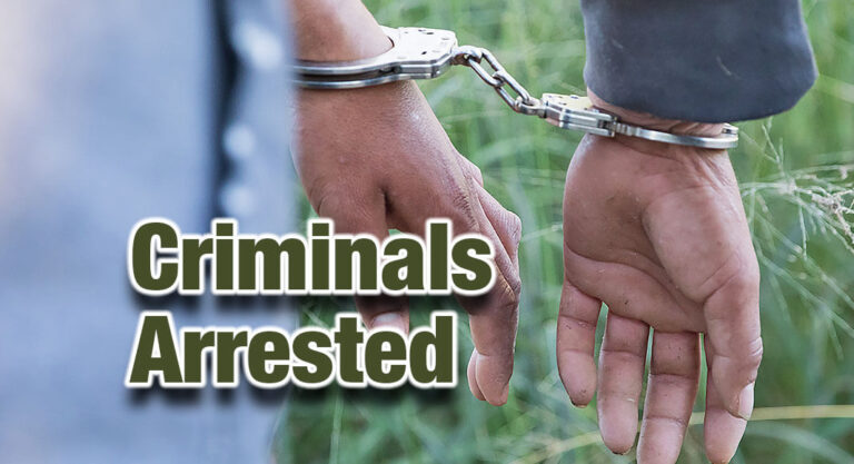 Laredo Sector Agents Arrests a Sex Offender and a Gang Member