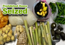 CBP Seizes Prohibited Plant, Animal Materials