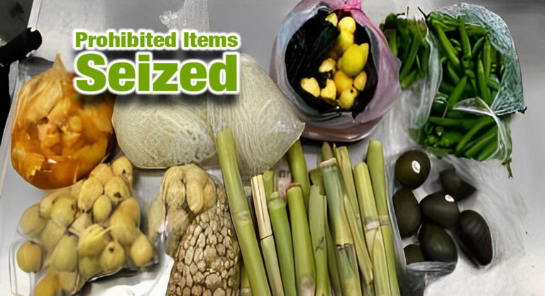 CBP Seizes Prohibited Plant, Animal Materials