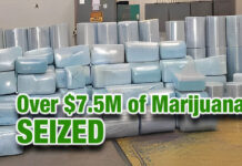 CBP Officers Seize Over $7.5 Million in Marijuana in Laredo