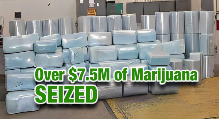 CBP Officers Seize Over $7.5 Million in Marijuana in Laredo