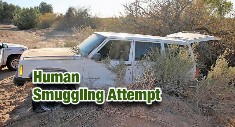 Laredo Sector Border Patrol Halted a Human Smuggling Attempt