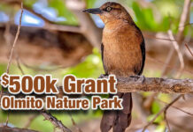 $500k Grant for The Olmito Nature Park