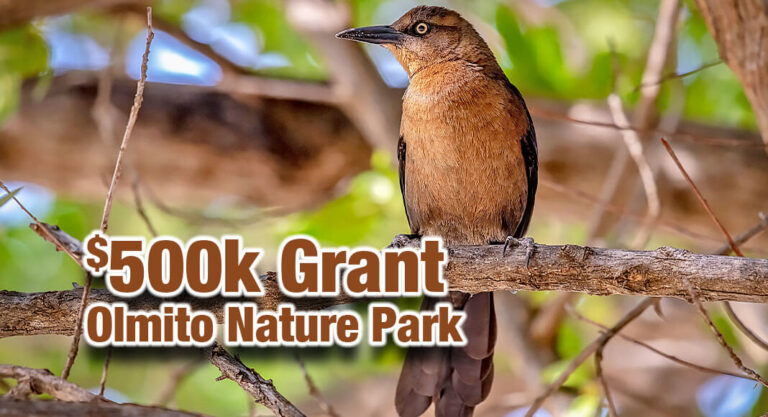 $500k Grant for The Olmito Nature Park