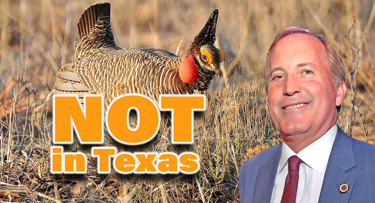 <strong>Federal Infringement of Texans’ Property Rights & Conservation Policies</strong>