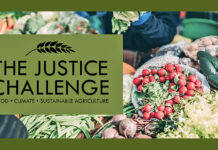 Developing Food, Agriculture, Natural & Human Sciences