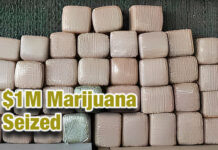 CBP Officers Seize Over $1M in Marijuana at World Trade Bridge