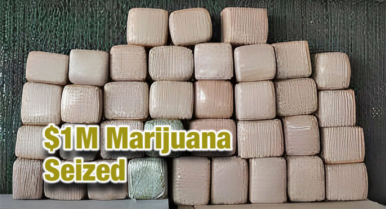CBP Officers Seize Over $1M in Marijuana at World Trade Bridge