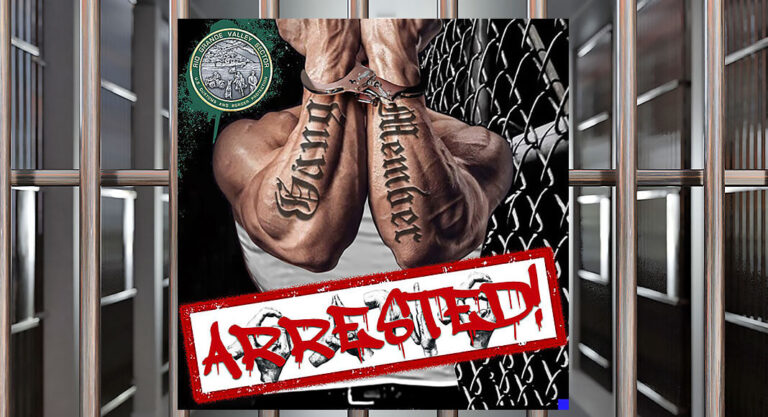RGV Agents Apprehend Gang Members 