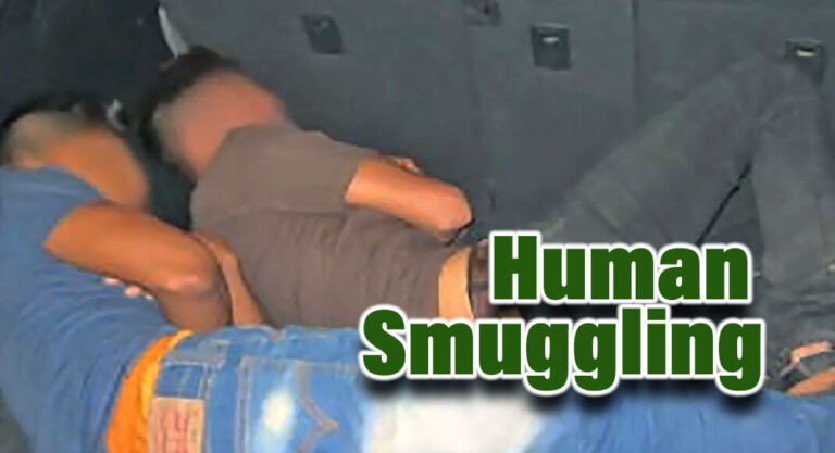 Laredo CBP Officers Thwart Alleged Human Smuggling Attempt in Vehicle 