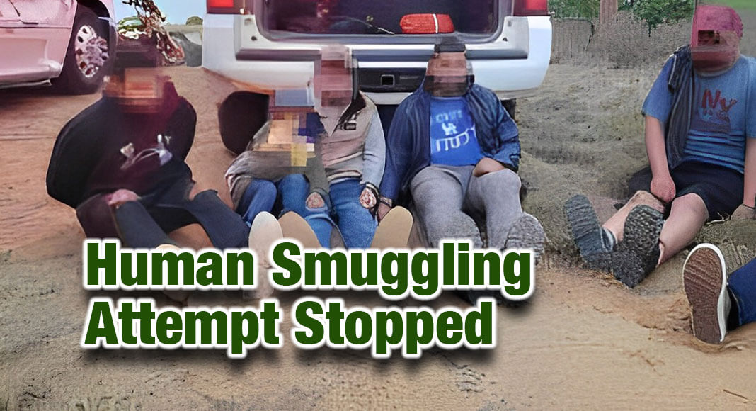 Laredo Sector Border Patrol agents assigned to the Laredo North Station stopped a human smuggling attempt north of Laredo, Texas. USCBP Image