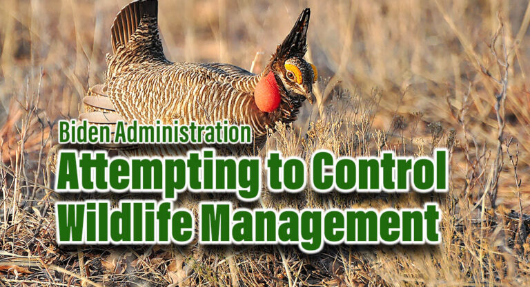 Biden Admin. Radical Attempt to Control State Wildlife Management