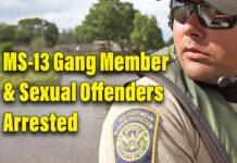 Del Rio Agents Arrest MS-13 Gang Member & 4 Sex Offenders