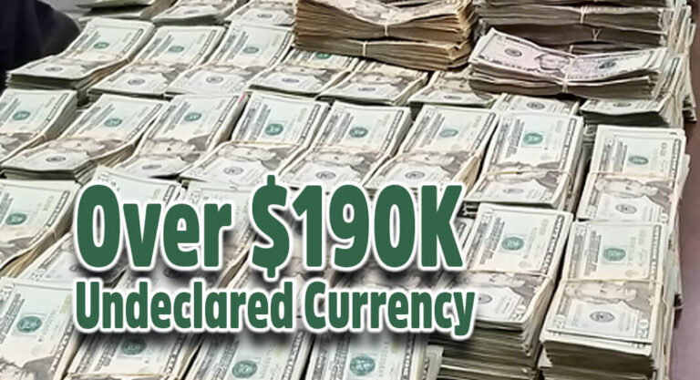 BP Seizes over $190K in Undeclared Currency at Pharr International Bridge