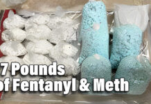 17 Pounds of Fentanyl Meth Seized at Paso Del Norte Border Crossing