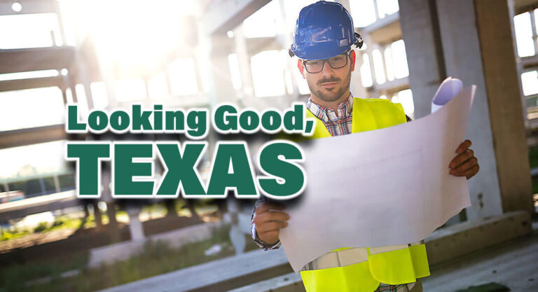 The Outlook for the Texas Economy