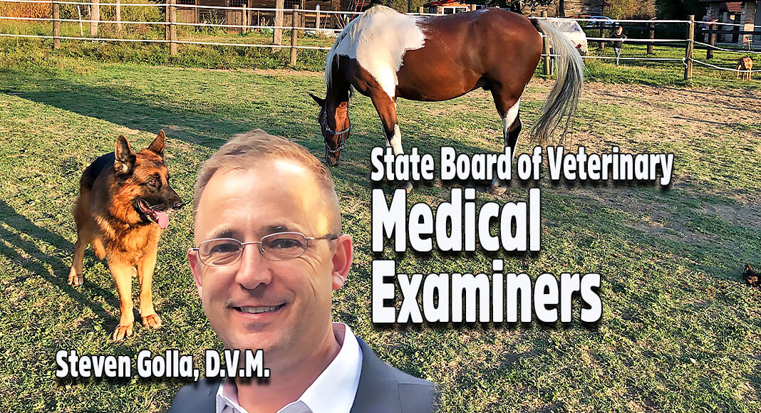 Governor Greg Abbott has named Steven Golla, D.V.M. as chair of the State Board of Veterinary Medical Examiners. Image Source: Linked in. For illustration purposes