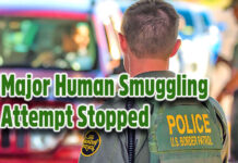 Falfurrias BP Stops Major Human Smuggling Attempt