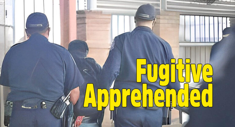 CBP Apprehends Fugitive Wanted for Murder At Hidalgo Intl. Bridge