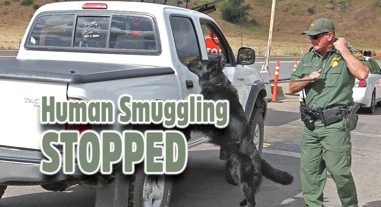 CBP Arrests Man Attempting to Smuggle a Child at Pharr International Bridge 