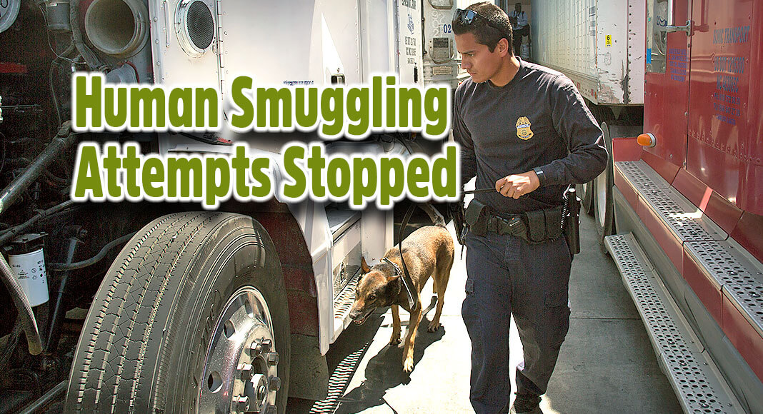 Laredo Sector Border Patrol agents halted two human smuggling attempts involving commercial vehicles at the I-35 checkpoint. USCBP Image for illustration purposes