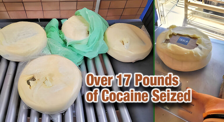CBP Officers Intercept Cocaine-Filled Cheese At Presidio Port Of Entry