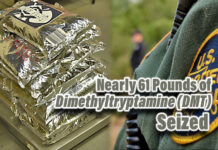 CBP Seizes Nearly 61lbs. of Dimethyltryptamine (DMT)