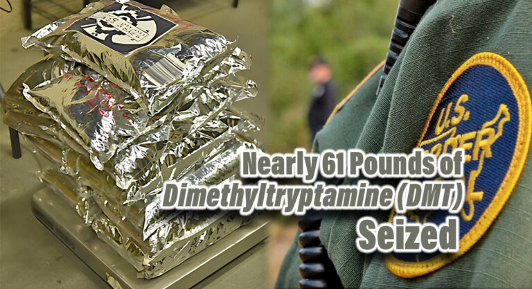 CBP Seizes Nearly 61lbs. of Dimethyltryptamine (DMT)