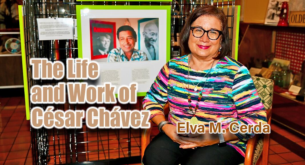 Elva M. Cerda, the driving force behind the McAllen Heritage Center Museum, stands alongside the exhibit 'IN HIS OWN WORDS: THE LIFE AND WORK OF CÉSAR CHÁVEZ,' a confirmation and shared passion and dedication to preserving the stories that shape our communities. Photo by Roberto Hugo González